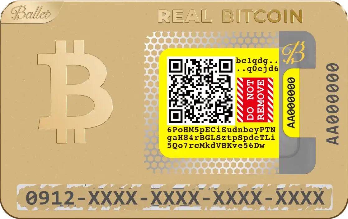 NFT Storage Ballet Real Dogecoin Crypto Wallet - Cold Storage Solution For  Digital Currency Bitcoin Wallet